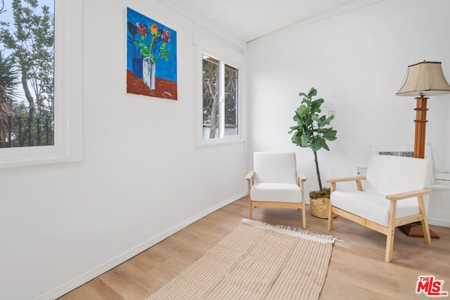 sitting room with light hardwood / wood-style floors