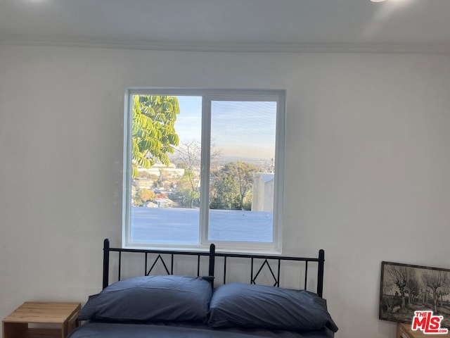 bedroom featuring ornamental molding