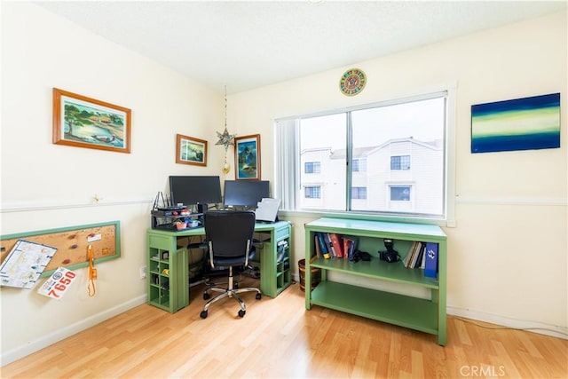 office featuring wood-type flooring