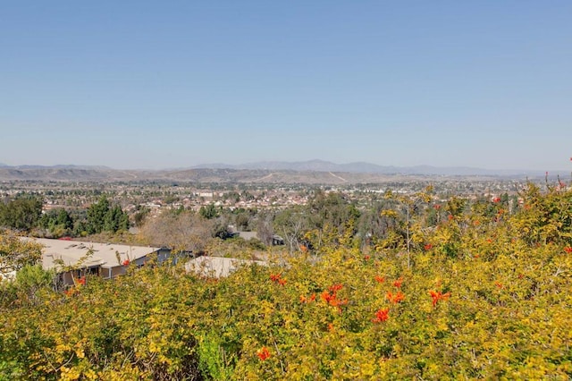 view of mountain feature