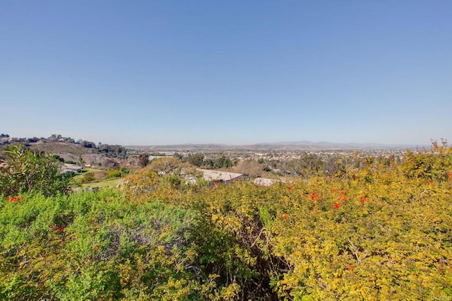 view of local wilderness