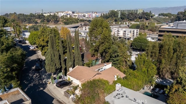 bird's eye view