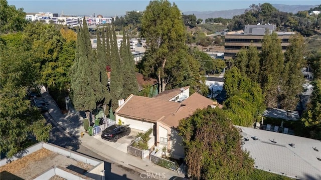 bird's eye view