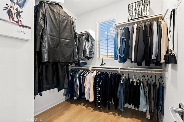 walk in closet featuring wood-type flooring