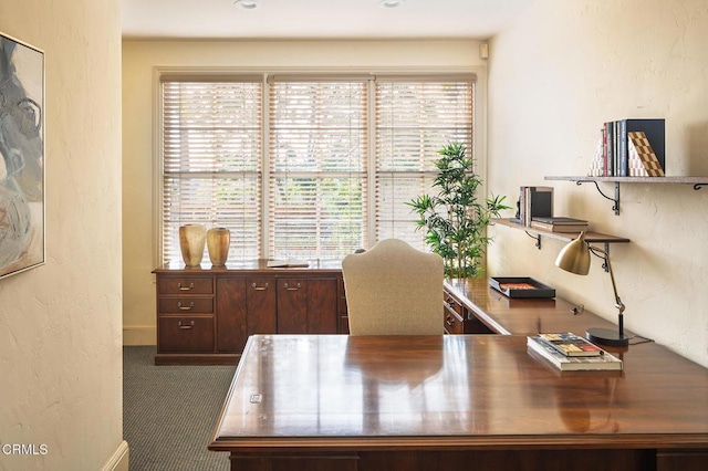 office featuring carpet floors and a wealth of natural light