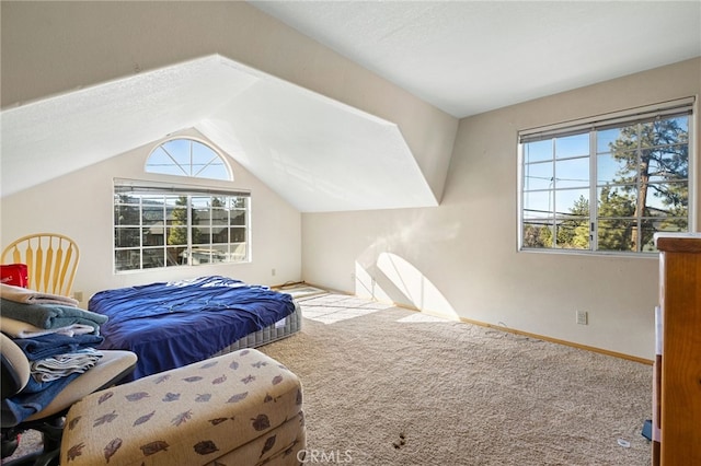 bedroom featuring multiple windows, carpet, and vaulted ceiling