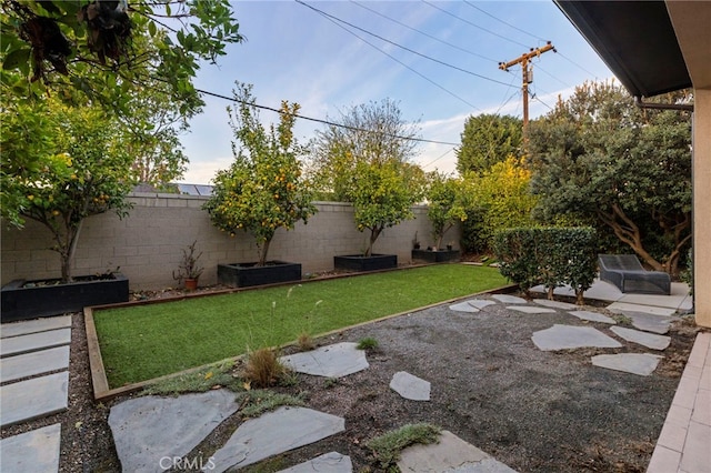 view of yard with a patio