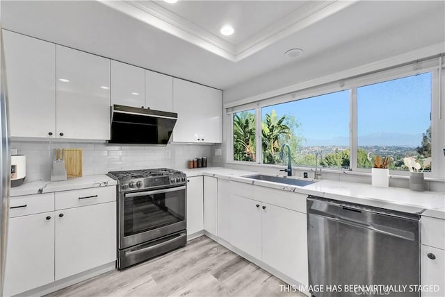 kitchen featuring appliances with stainless steel finishes, a tray ceiling, a wealth of natural light, white cabinets, and sink