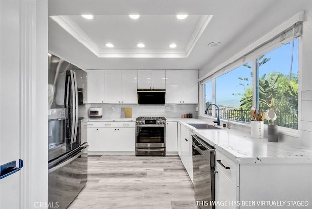 kitchen with appliances with stainless steel finishes, white cabinetry, tasteful backsplash, sink, and a tray ceiling