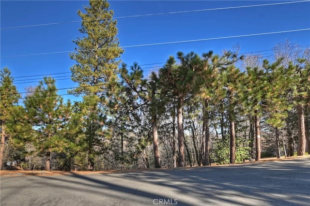 Listing photo 2 for 0 Lucerne Ln, Lake Arrowhead CA 92352