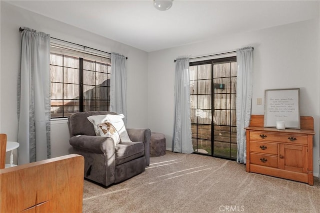 living area featuring light colored carpet