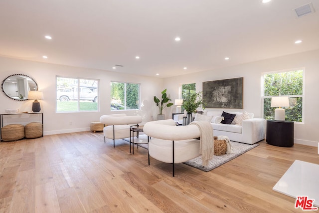 living room with light hardwood / wood-style floors and a wealth of natural light