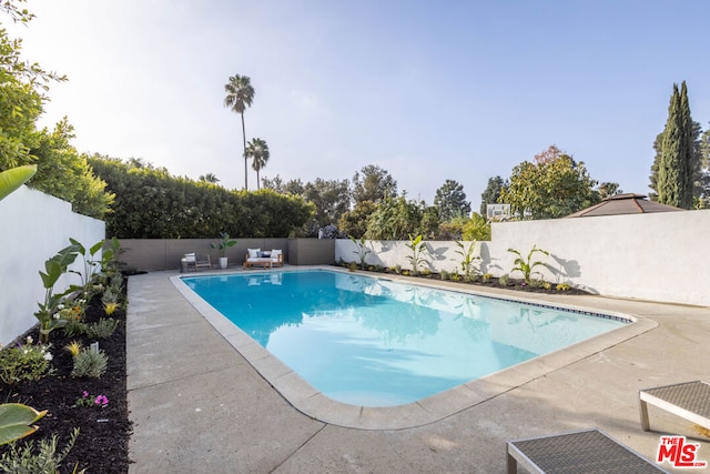 view of swimming pool featuring a patio