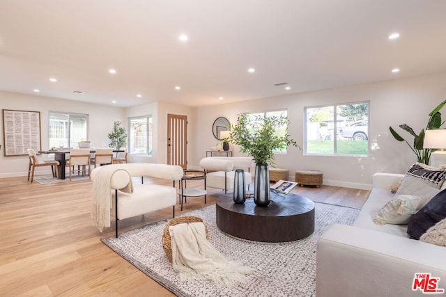 living room featuring light hardwood / wood-style flooring