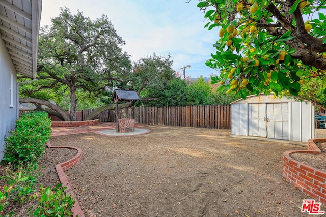 view of yard with a shed