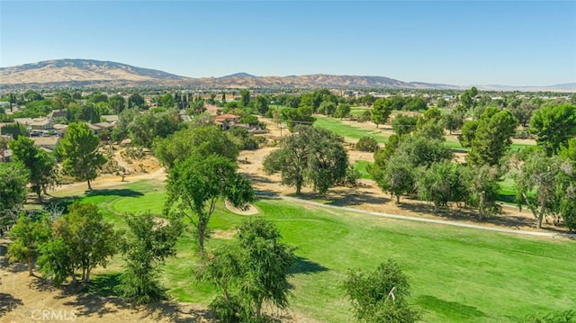 birds eye view of property with a mountain view