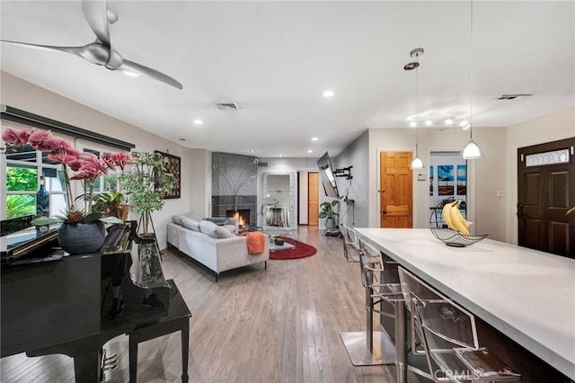 living room featuring hardwood / wood-style floors and a fireplace