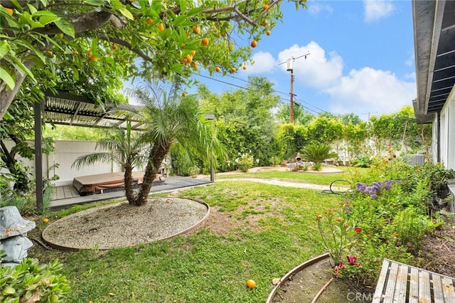 view of yard featuring a jacuzzi