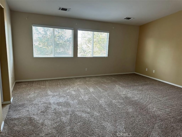 spare room with carpet flooring and plenty of natural light