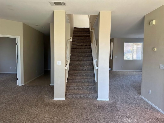 stairway featuring carpet floors