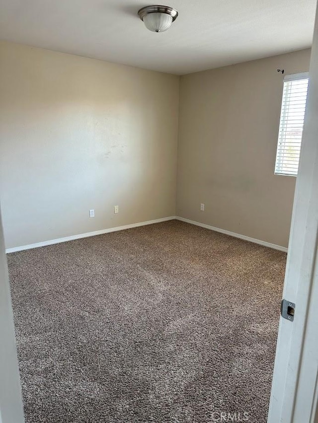 spare room with carpet