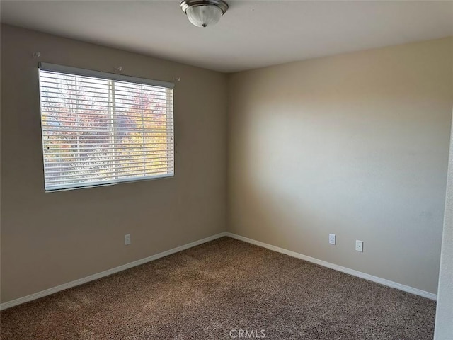 spare room with carpet floors