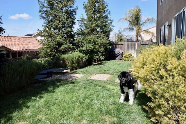 902 Sycamore Canyon Rd, Paso Robles, CA 93446 - photo 15