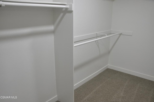 spacious closet featuring dark colored carpet