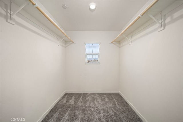 spacious closet featuring dark carpet