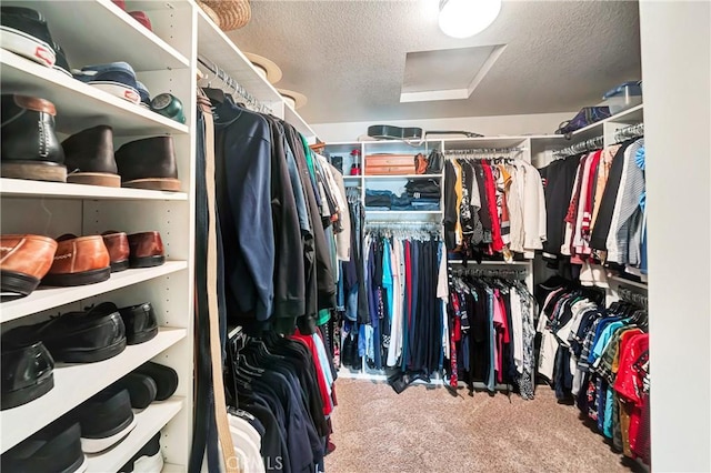 walk in closet featuring carpet flooring