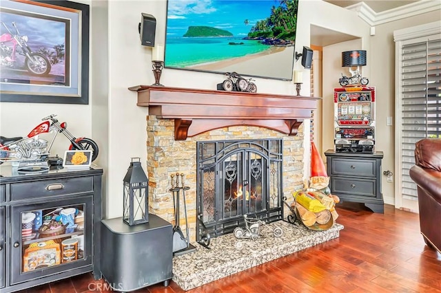 room details with crown molding, wood-type flooring, and a stone fireplace