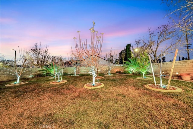 view of yard at dusk