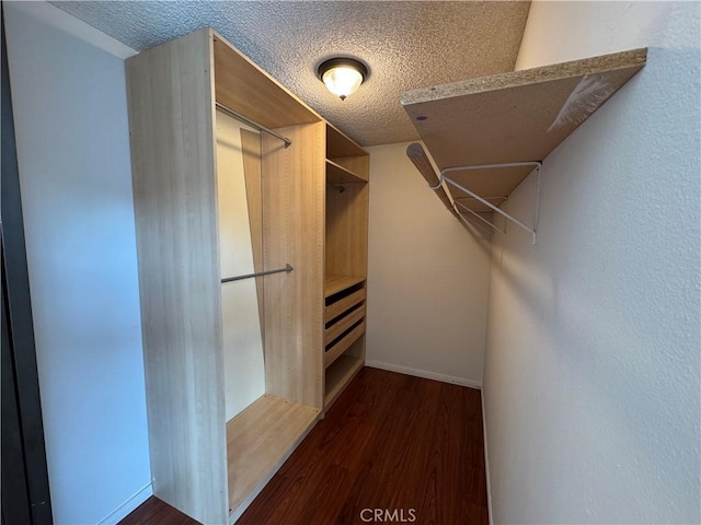 spacious closet with dark wood-type flooring