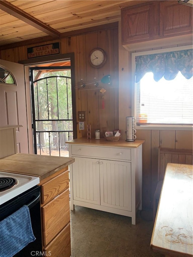 kitchen featuring wooden walls and wooden ceiling