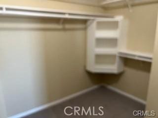 view of walk in closet