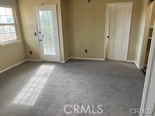 interior space with a wealth of natural light and carpet flooring