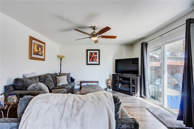 living room with ceiling fan and wood-type flooring