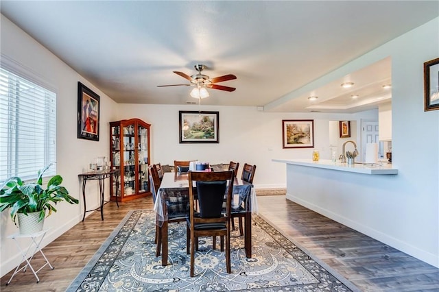 dining area with ceiling fan, sink, and hardwood / wood-style floors