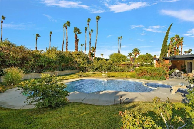 view of swimming pool with a patio area and a lawn