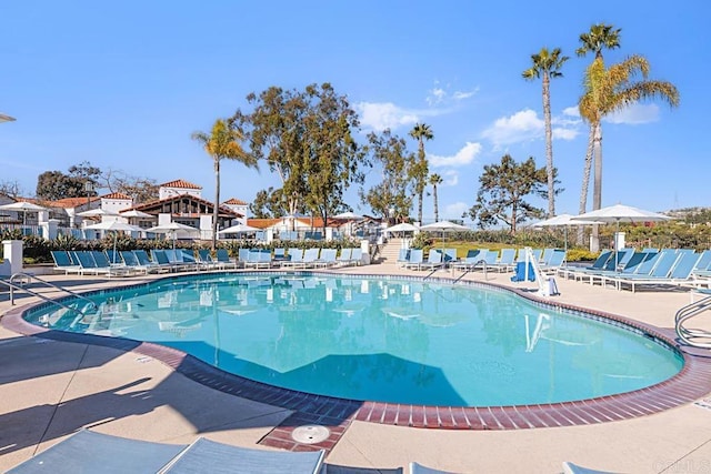 view of swimming pool featuring a patio