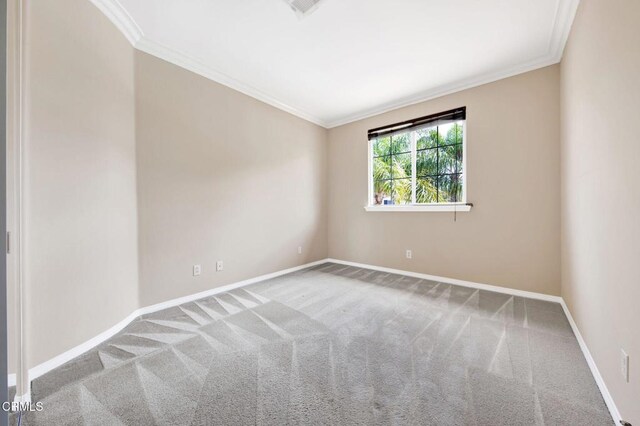 empty room with crown molding and carpet flooring