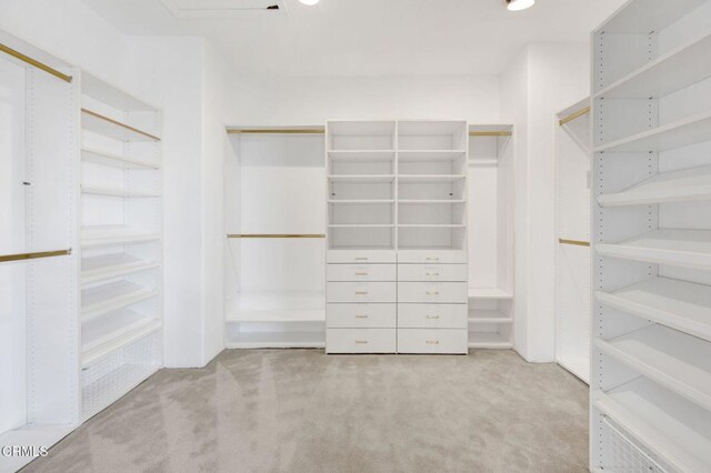 walk in closet featuring light carpet