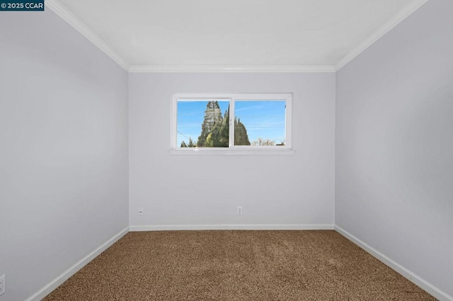 carpeted spare room with ornamental molding