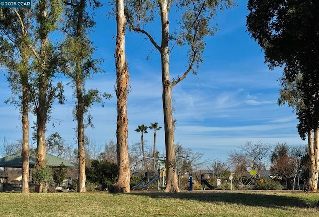 view of yard featuring a playground