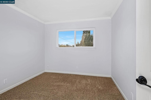 carpeted spare room featuring crown molding