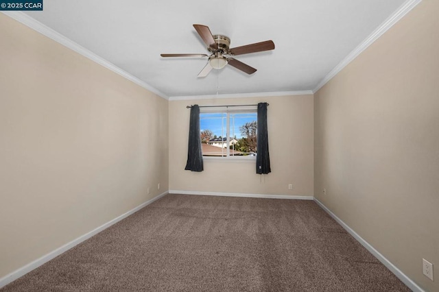 spare room featuring ceiling fan, crown molding, and carpet flooring