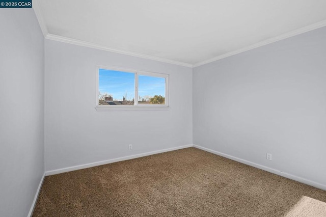 carpeted spare room featuring crown molding