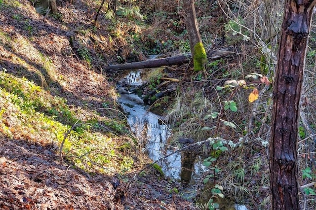 view of landscape with a water view