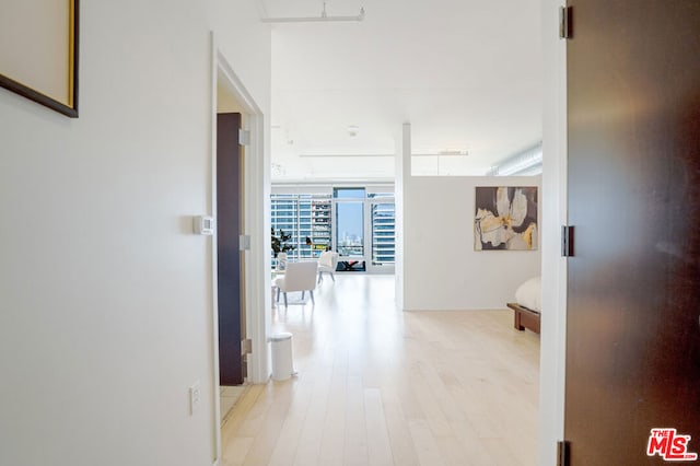 hallway with a wall of windows and light hardwood / wood-style flooring