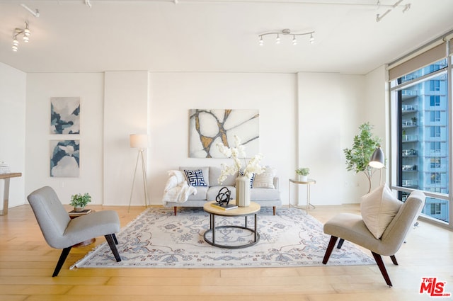 living area featuring light wood-type flooring and rail lighting